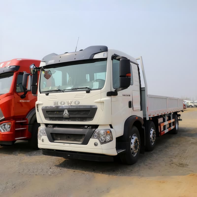 HOWO Cargo Truck T5G 375HP 6x4 White For Sale,New/Used